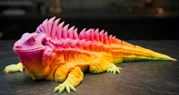 iguana